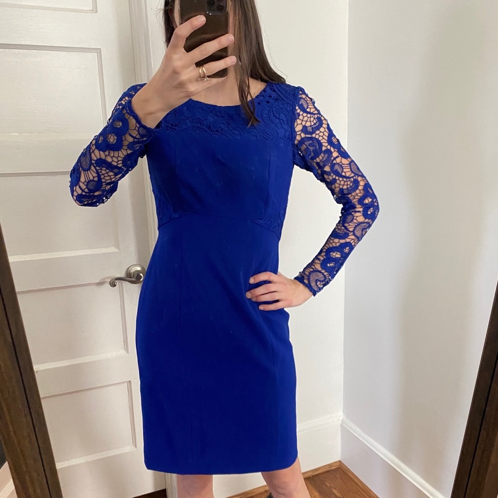 Antonio Melani Royal Blue Lace Dress